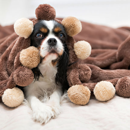 #snugglerpets